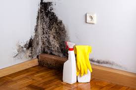 Best Industrial Mold Remediation in North Richmond, CA